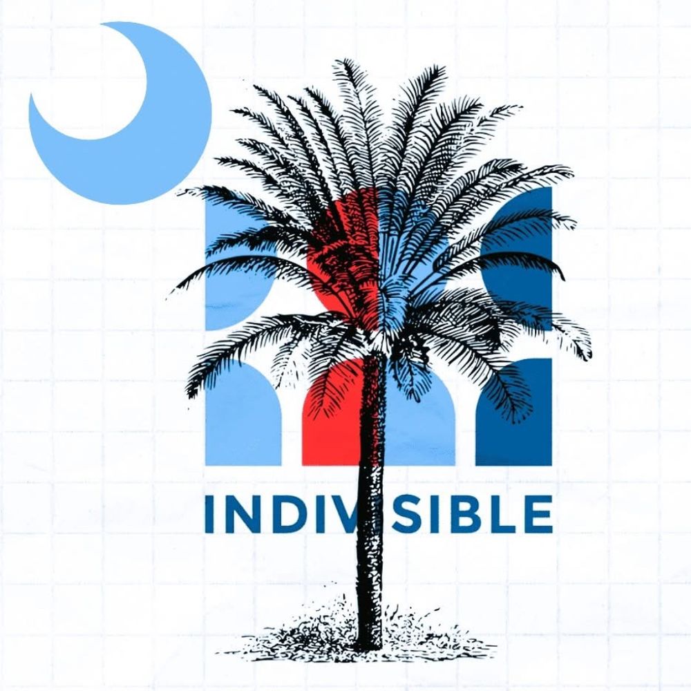 Indivisible Charleston Chapter
