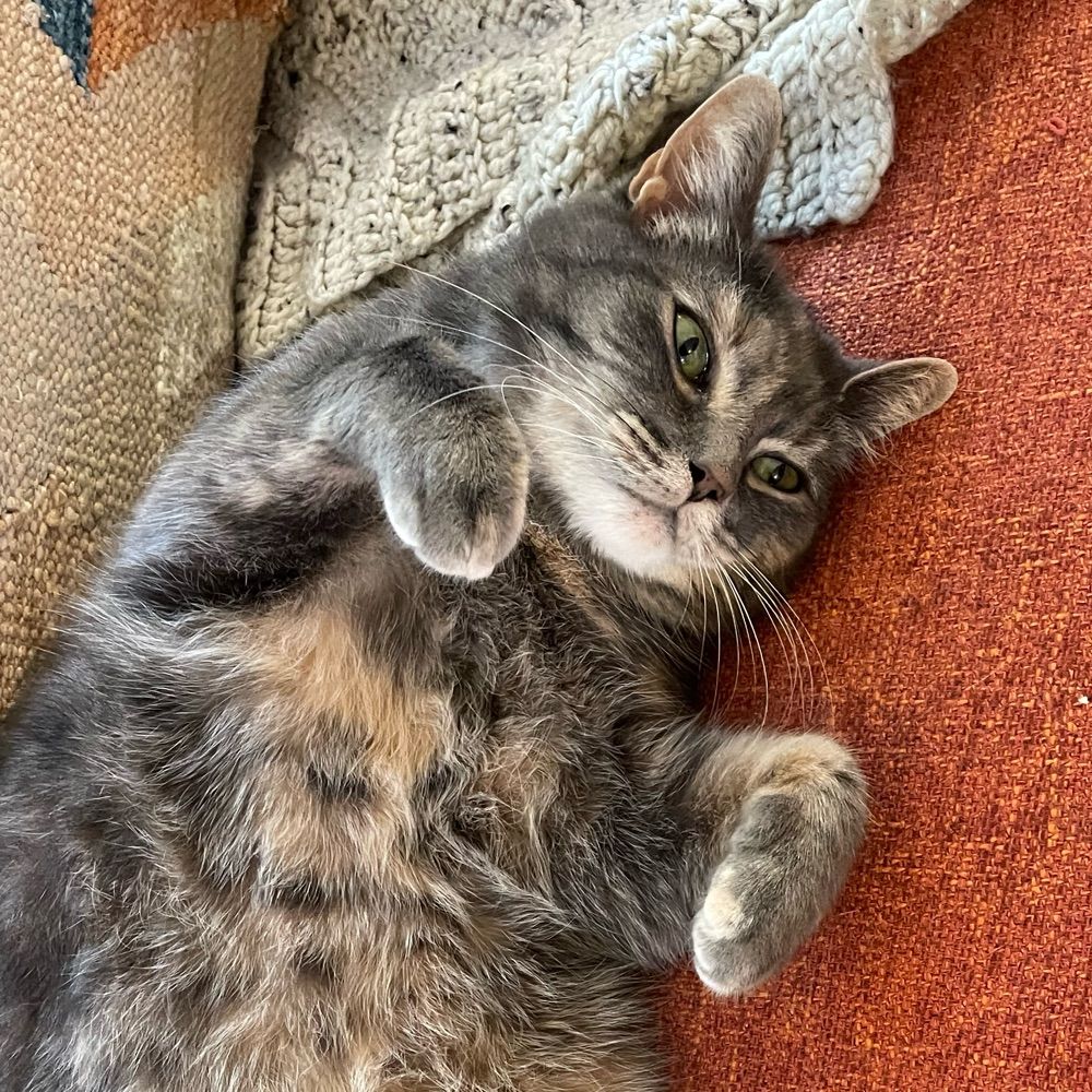 Maggie