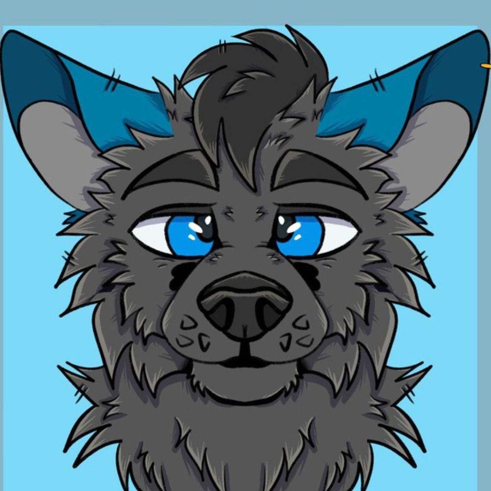 Jay The Wolf