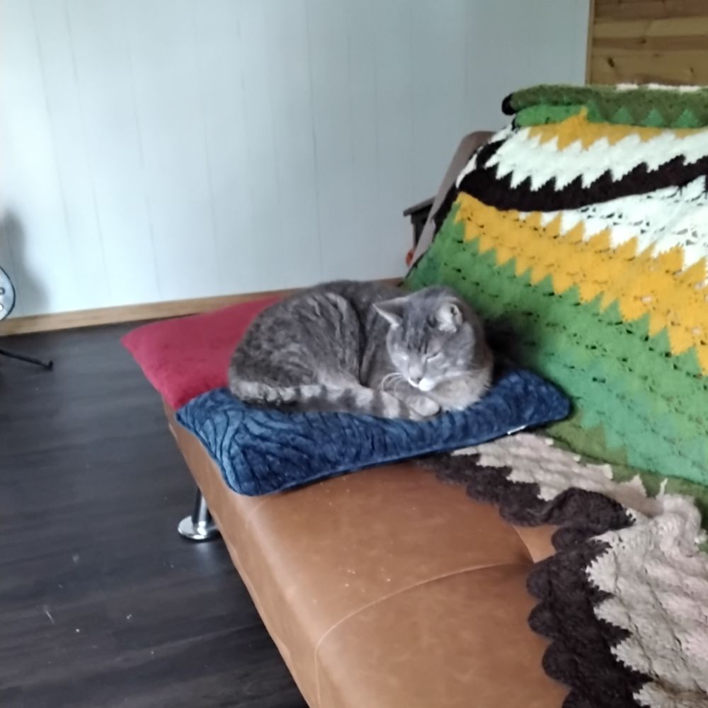 bocephus53.bsky.social profile picture