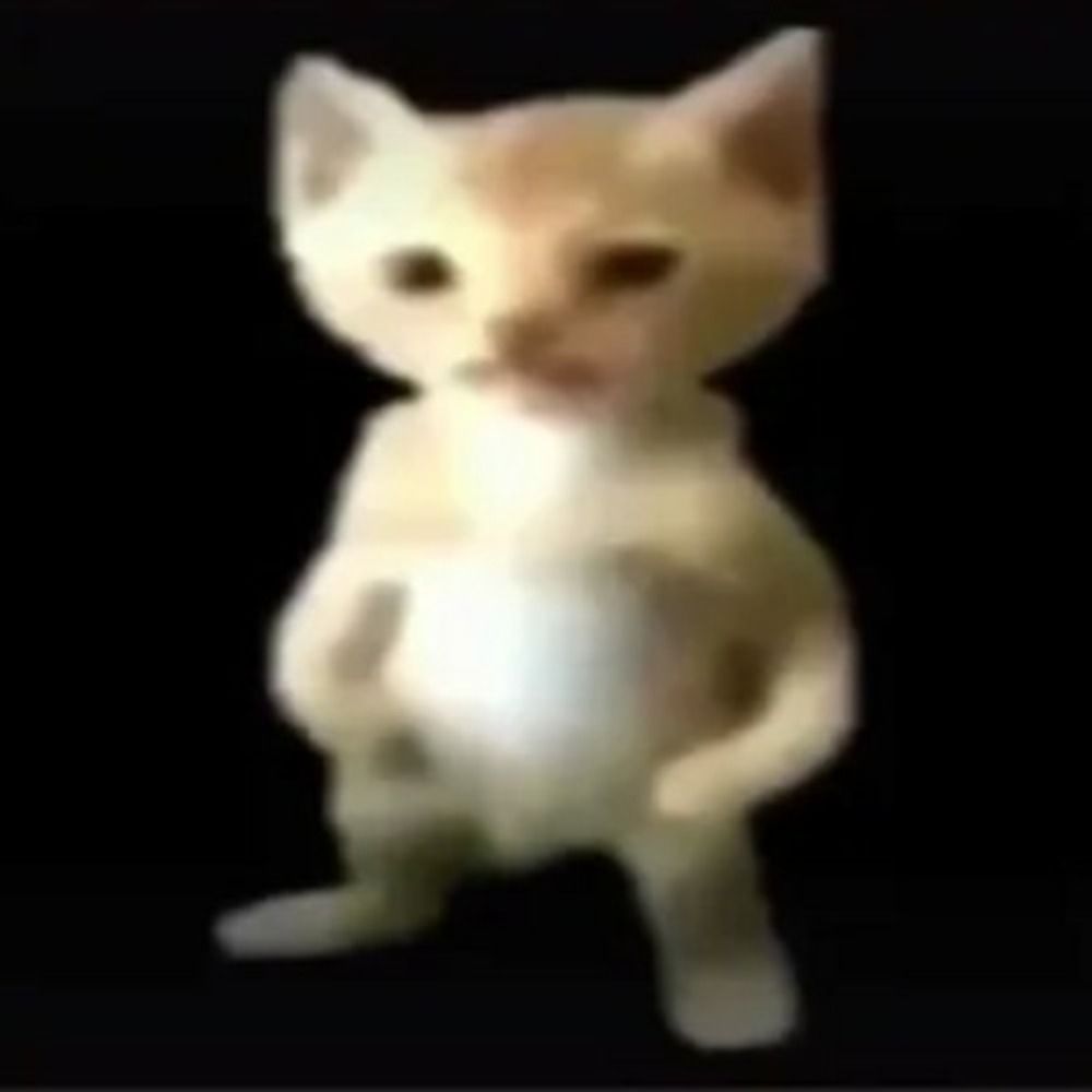 minguel