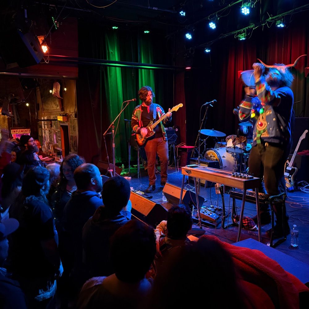 The Moondoggies