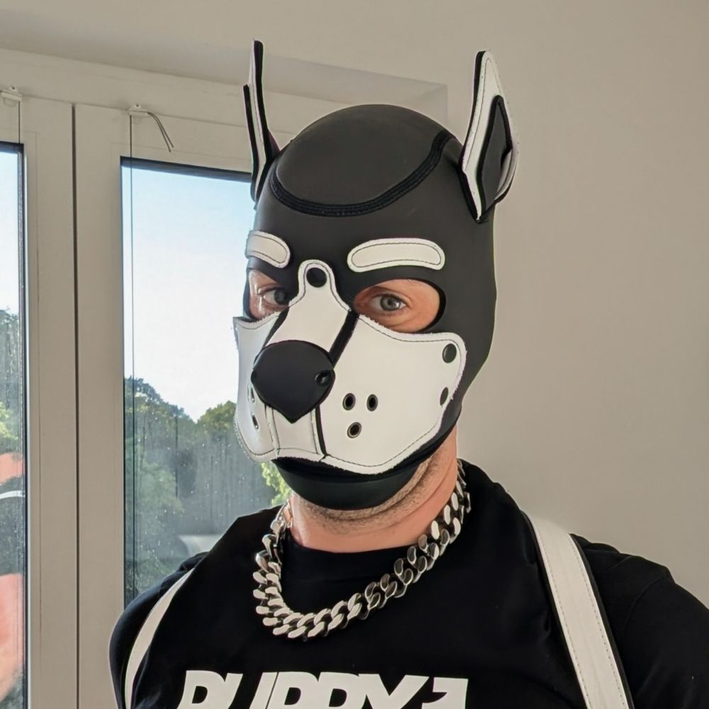 Pup Zero 🔜 FOLSOM