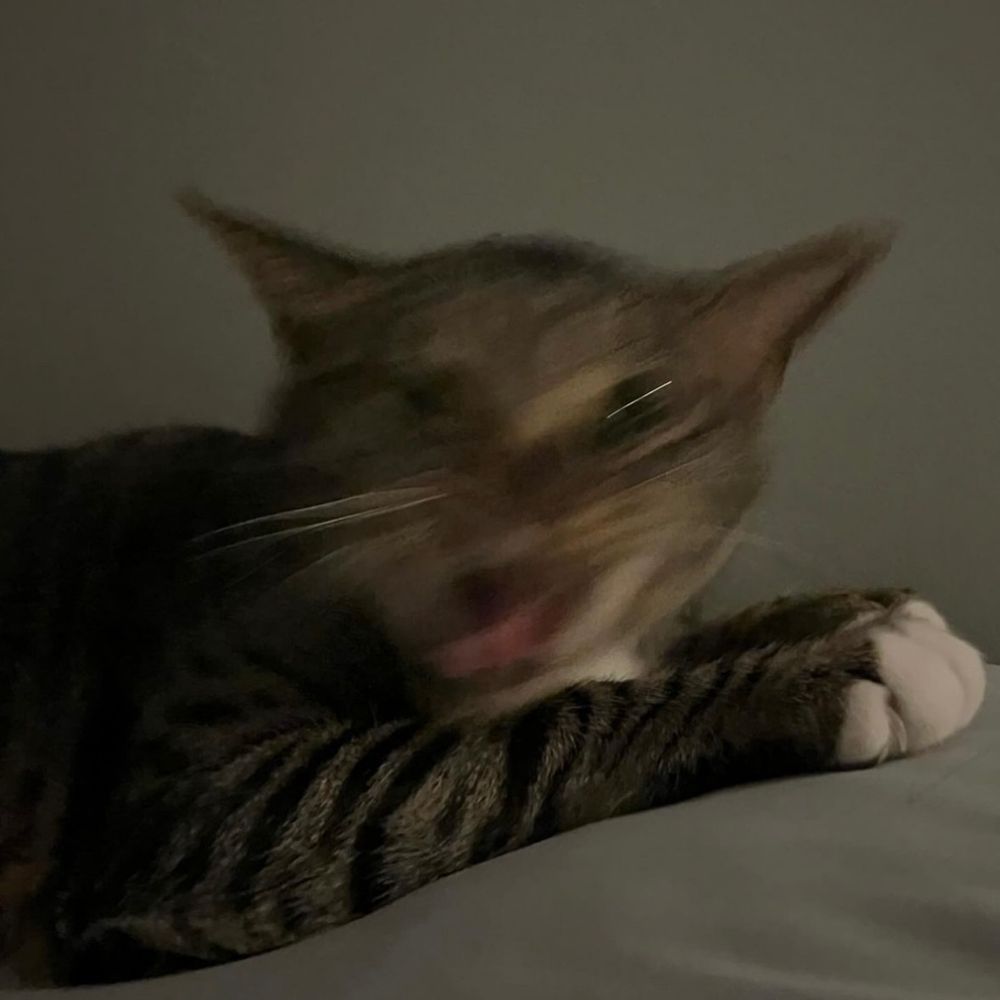 哎迪哎睏