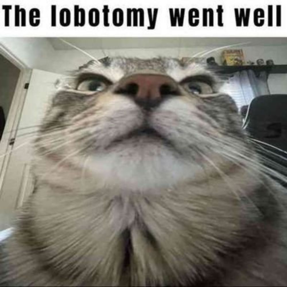 Fin tyfoon (lobotomy arc)