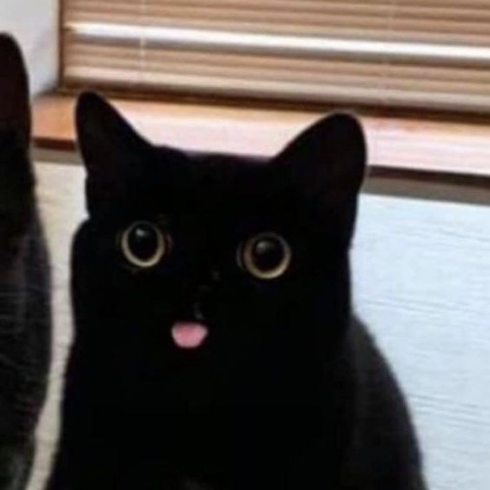 貓又