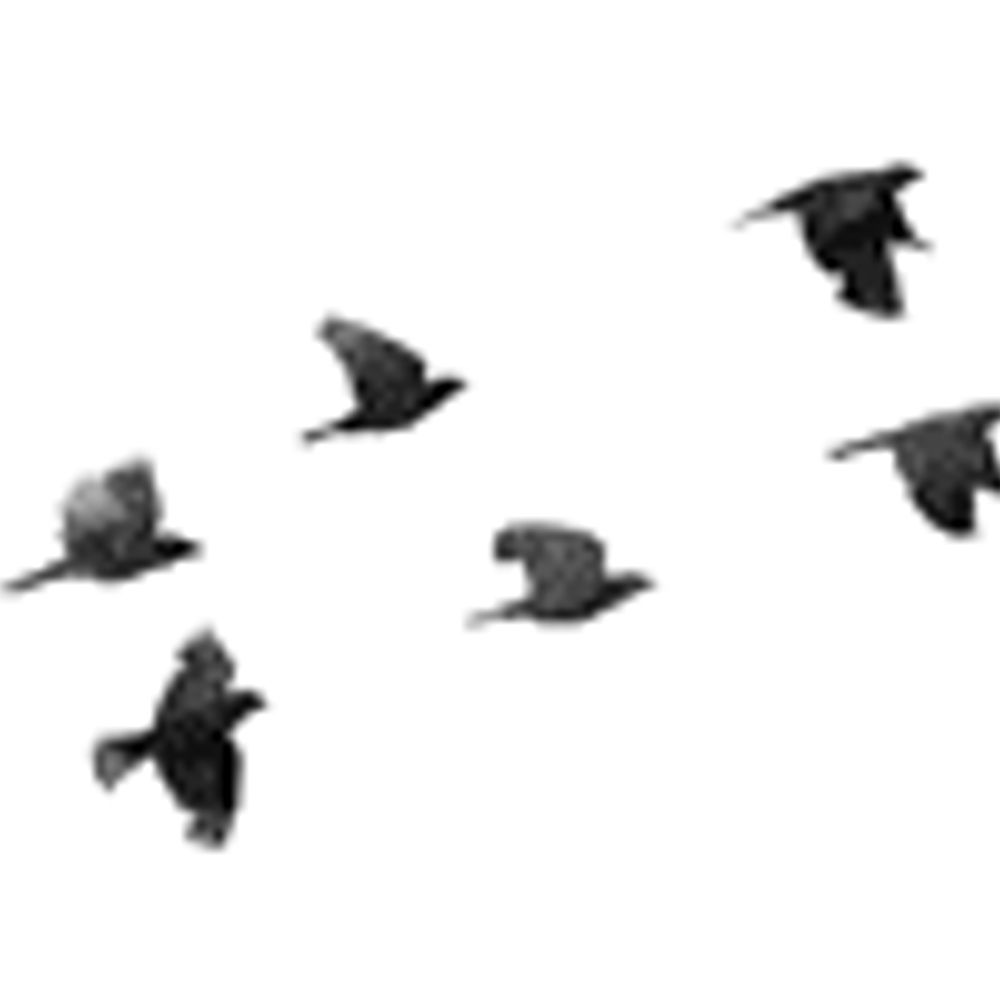 Avigation Ltd
