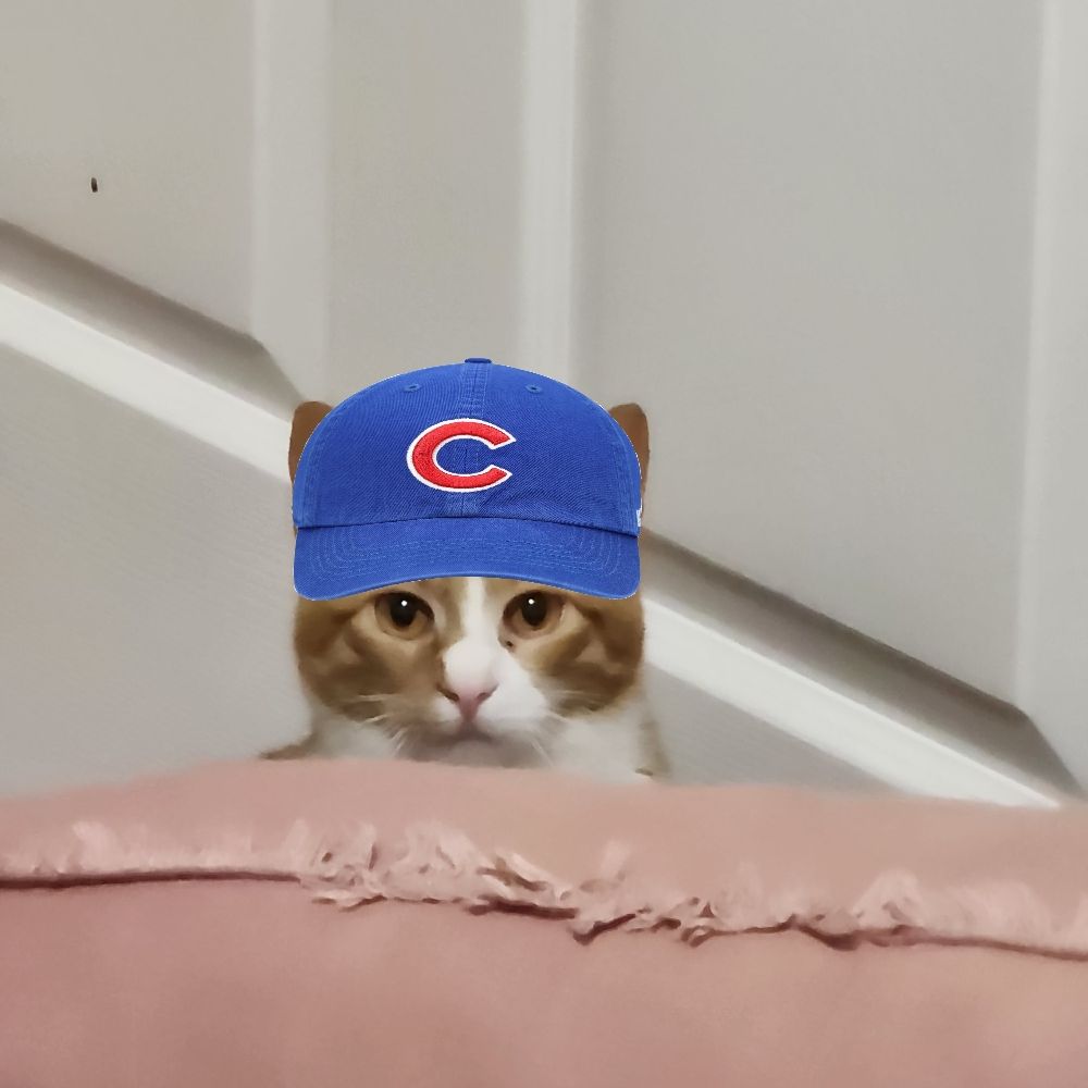 CubbieClark