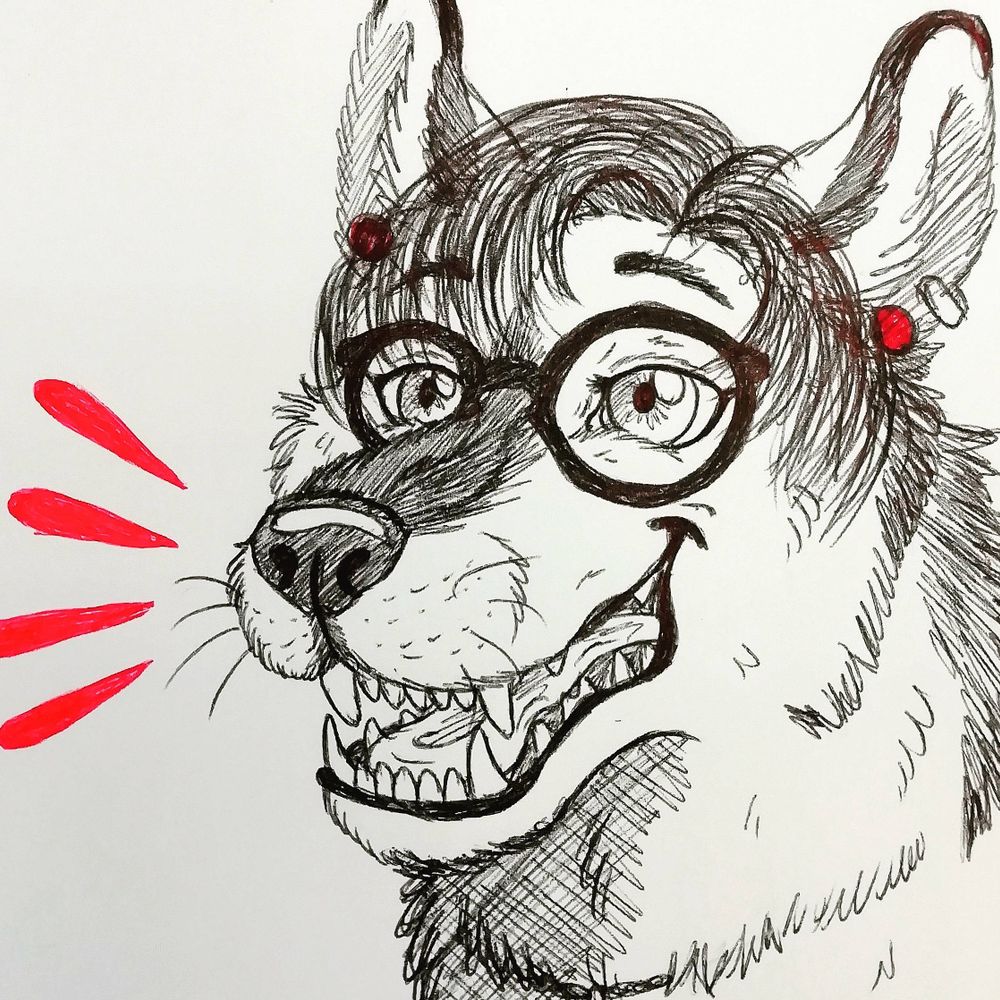 Cate 🐺