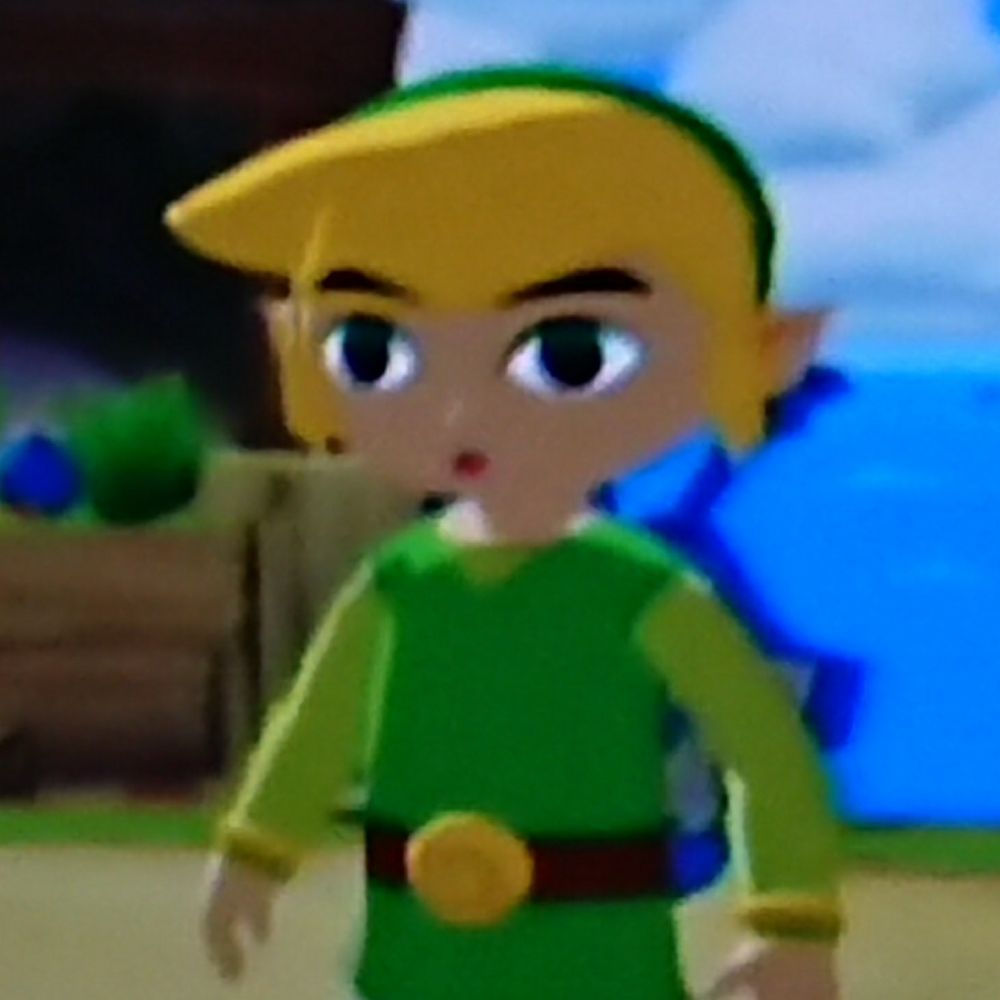 Toon Link
