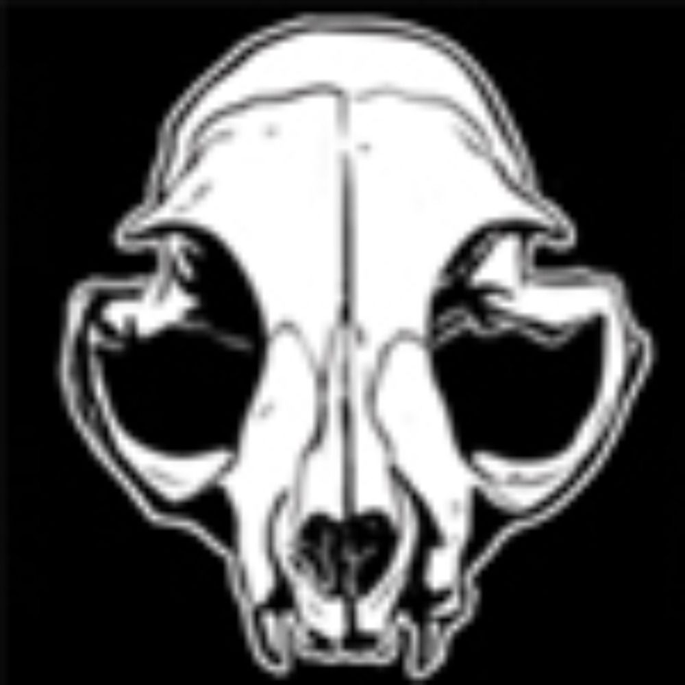 SkullcatStudios