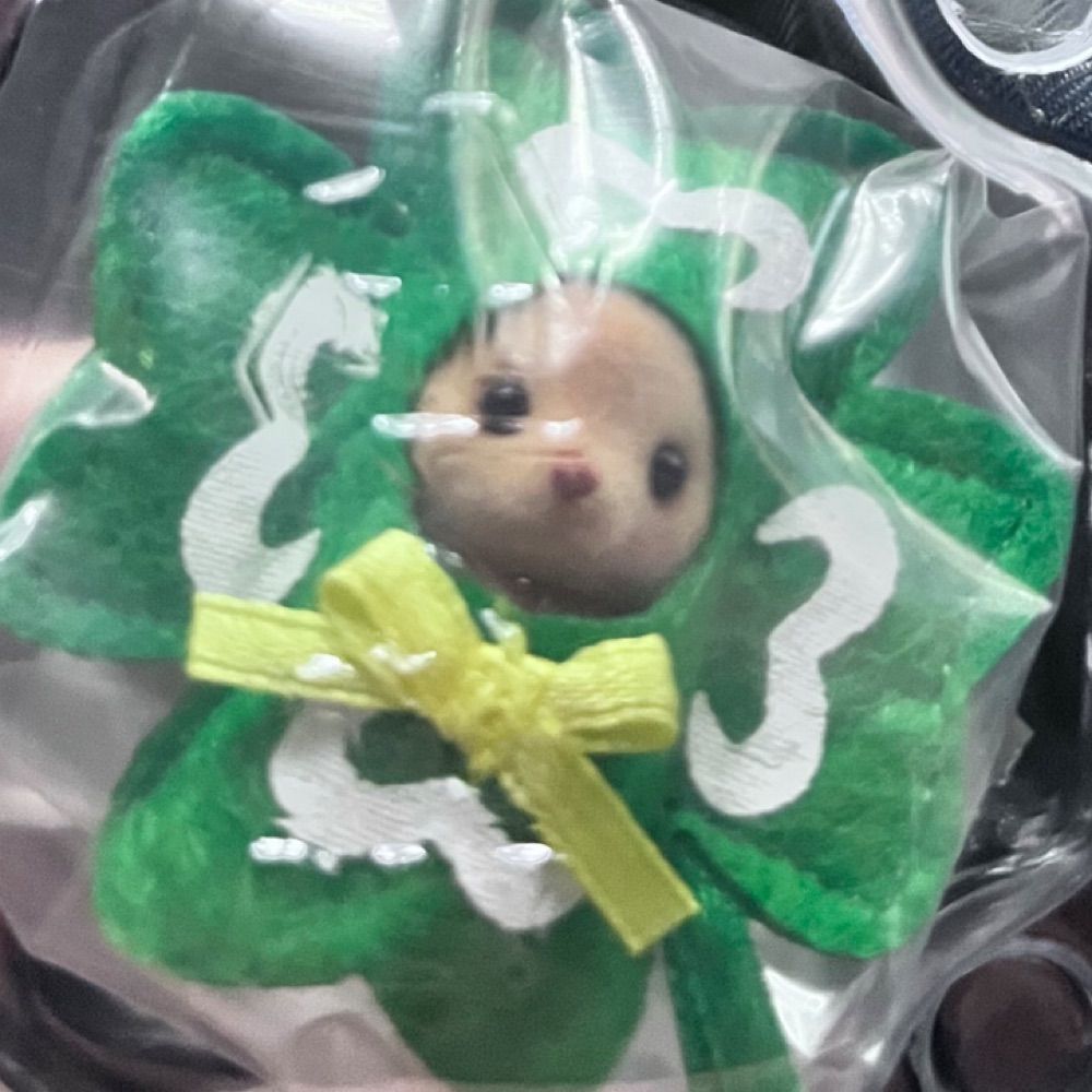 ちょる