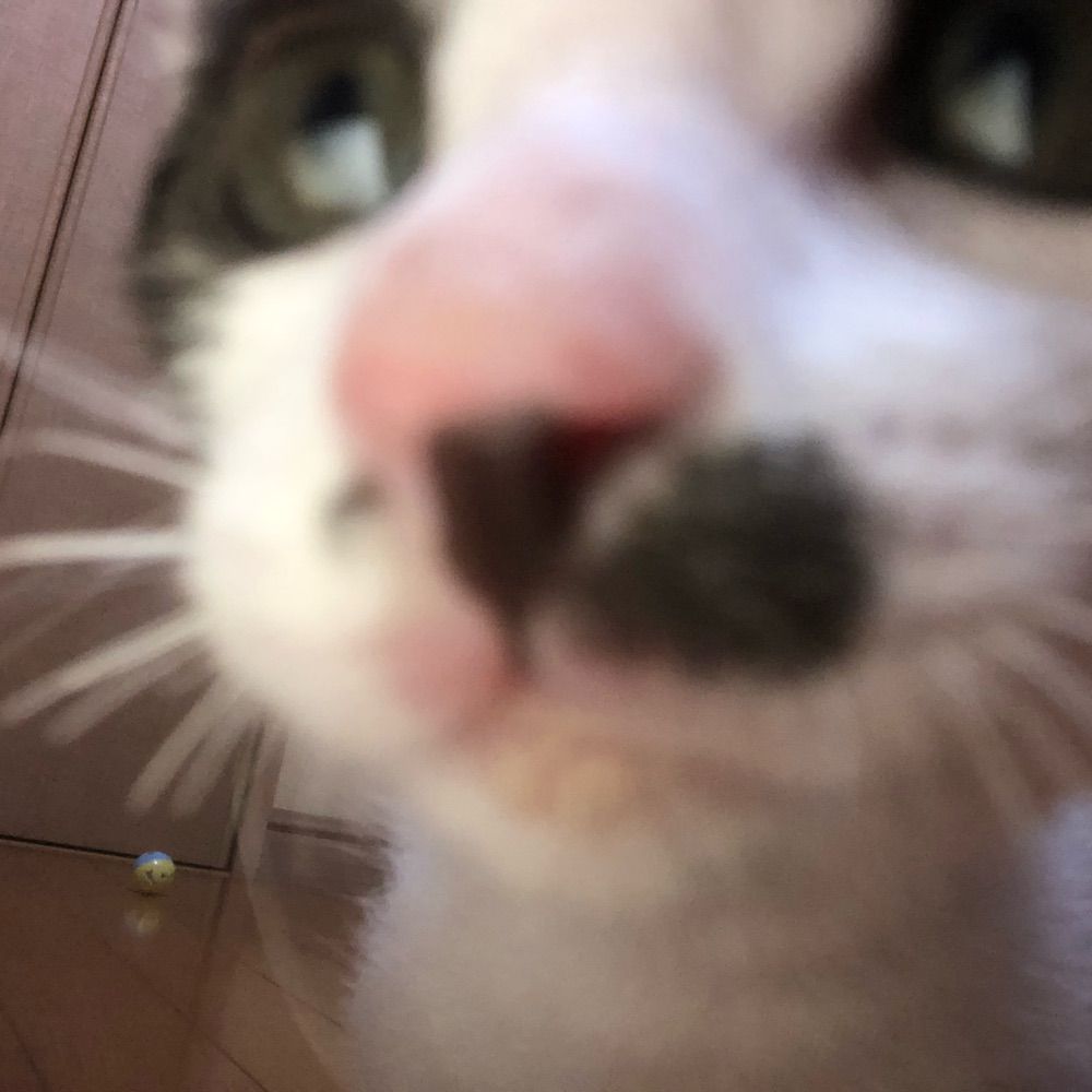 さらん