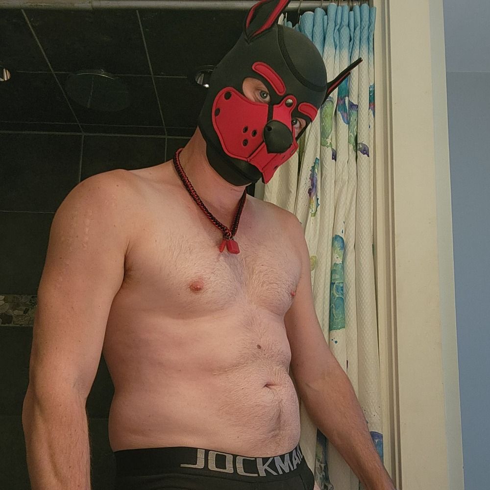 Alpha Tazzer