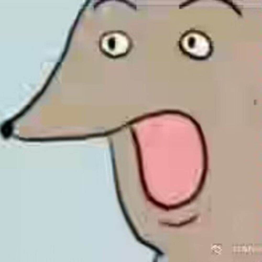 菠萝
