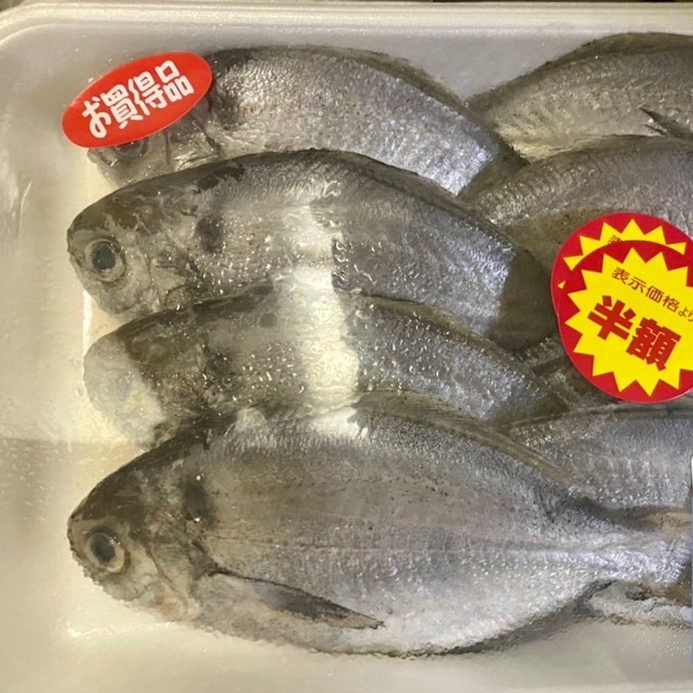 馬並キッチン