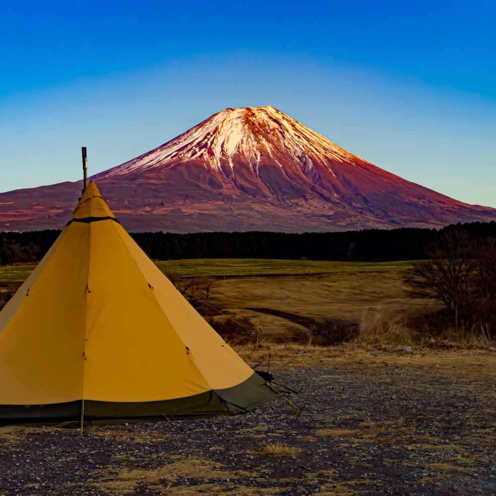 アニサキス@ワンポール教教祖⛺️⛺️