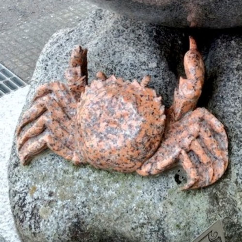 マグミ