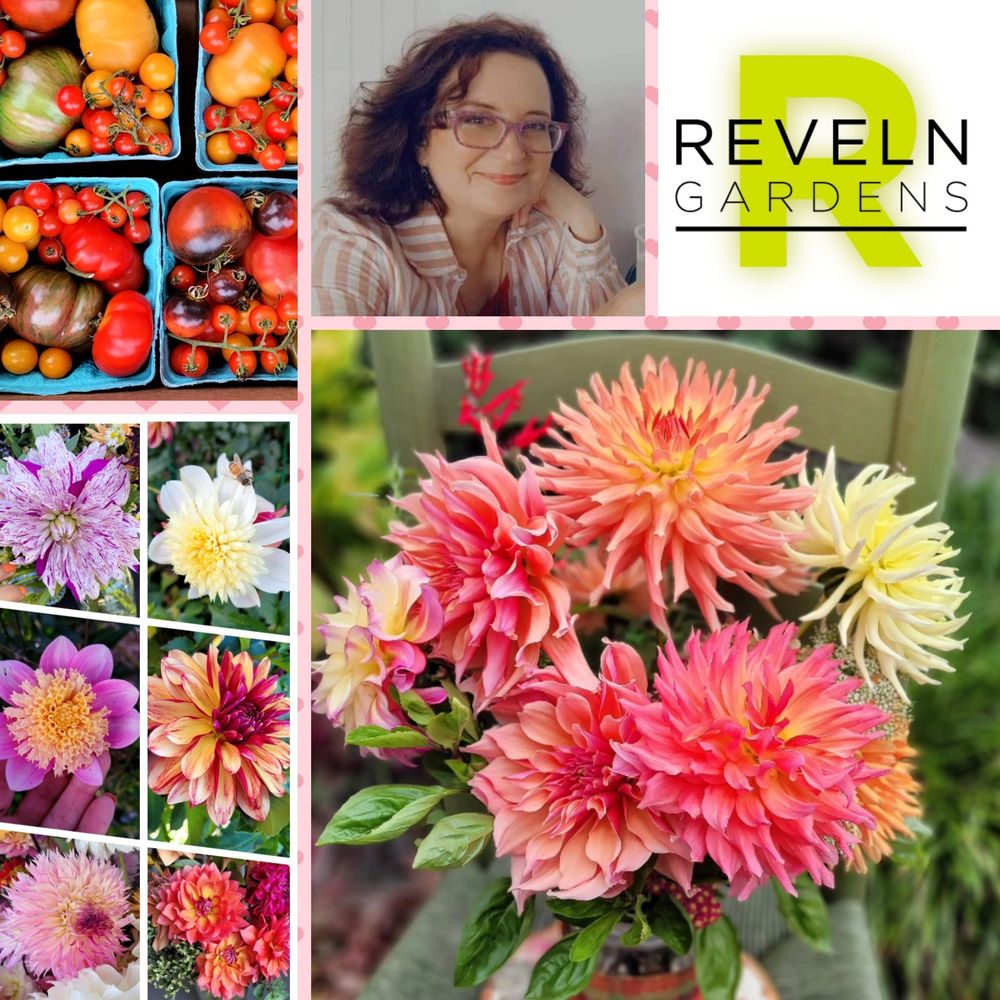 Profile picture revelngardens.bsky.social