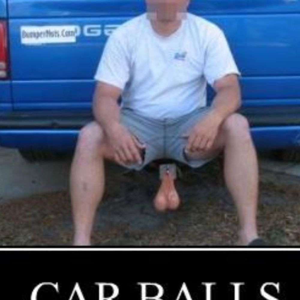 Bigbaws