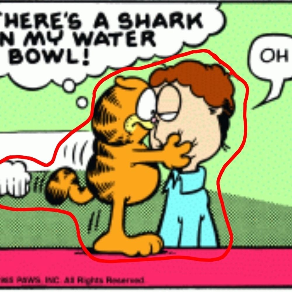 midoribabes.bsky.social