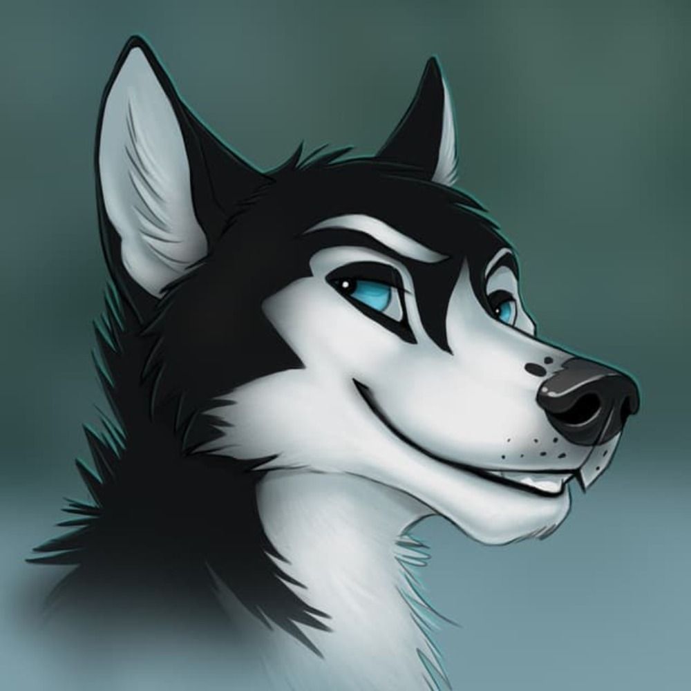 Fobo Husky