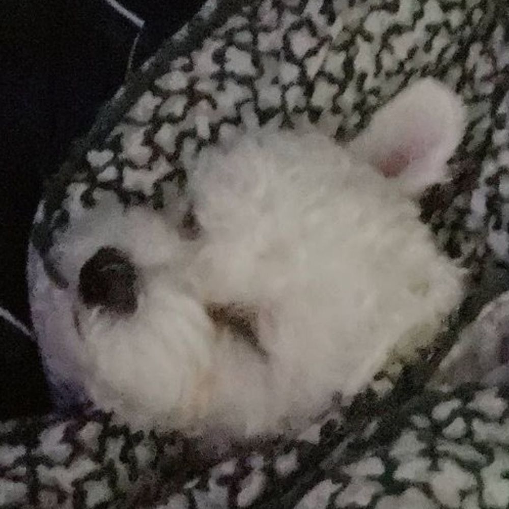 후