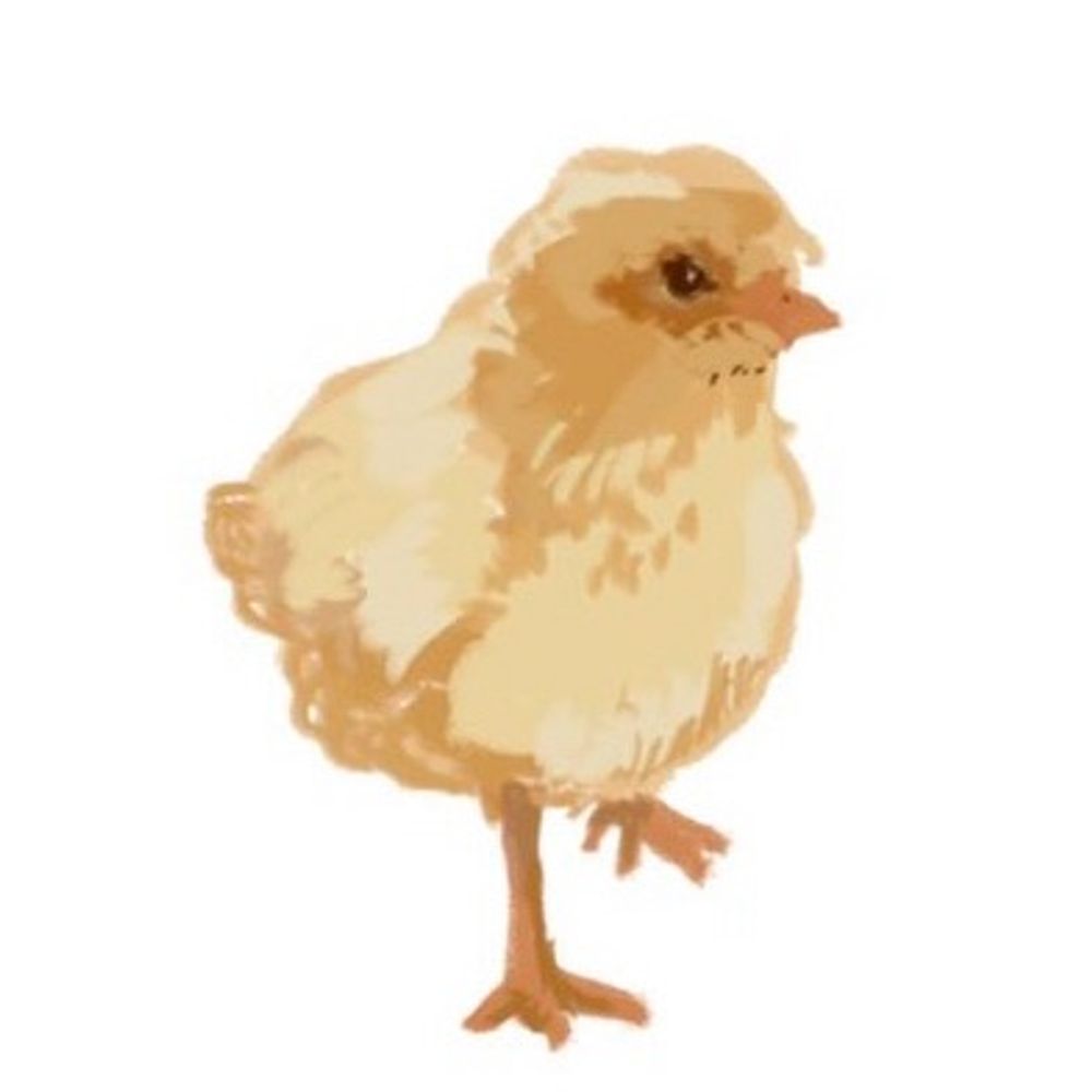 うらこ