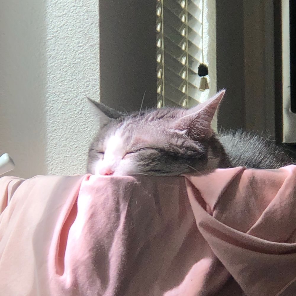 Sam