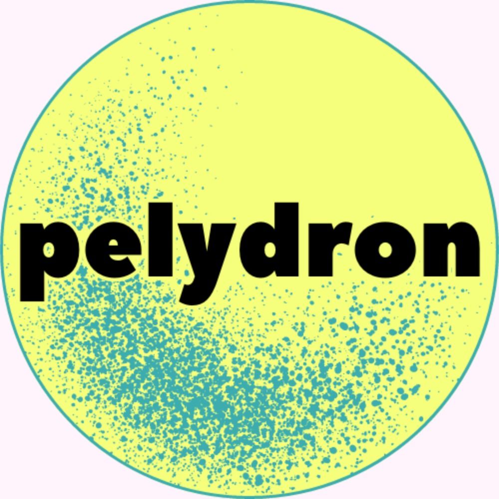 pelydron 🏴󠁧󠁢󠁷󠁬󠁳󠁿
