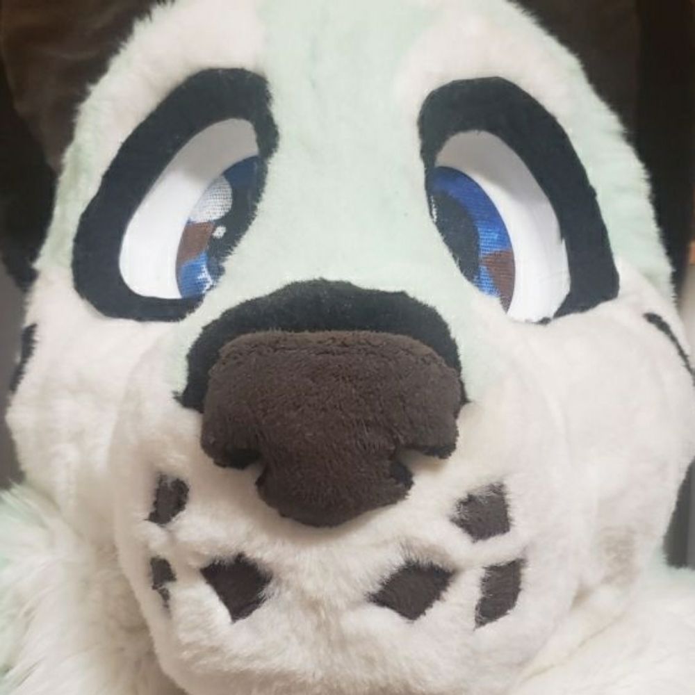 Fresh Da Husky