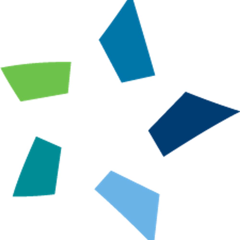 Council of Institutional Investors (CII)