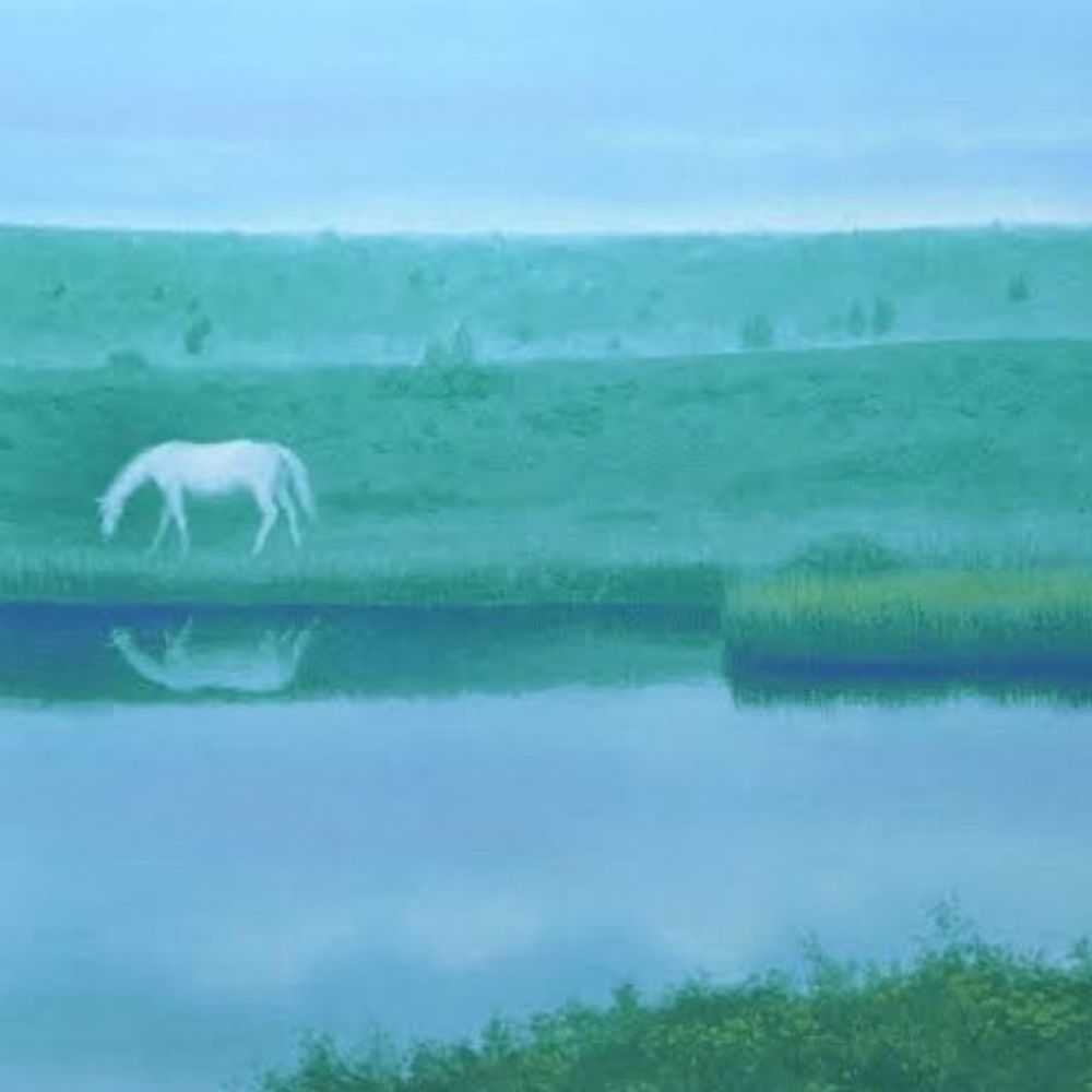 和泉