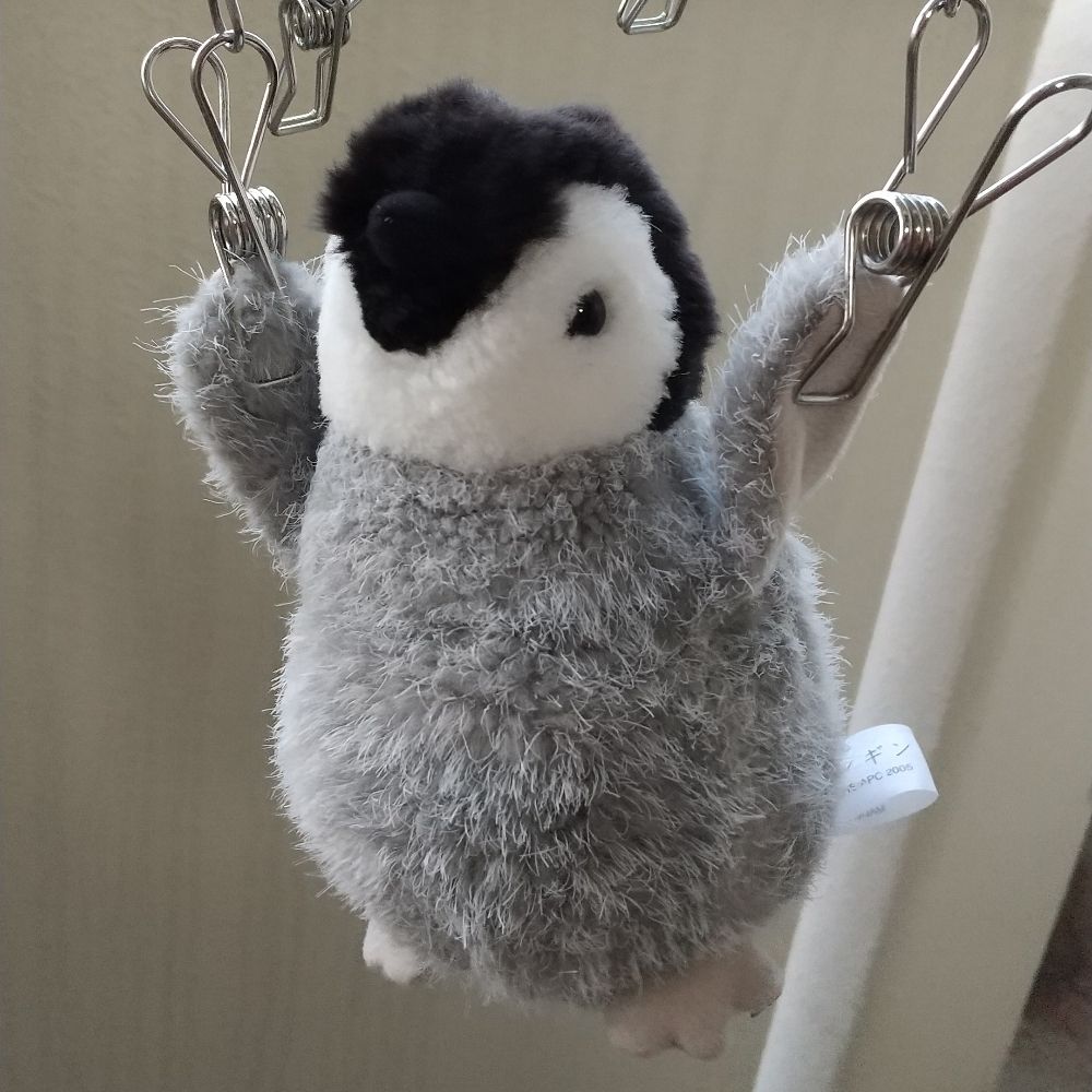 いわとびぺんぎん