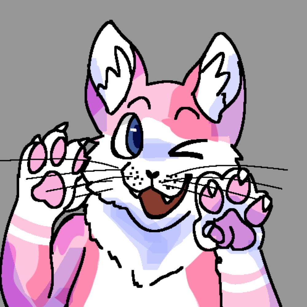 Cypress, a Cat