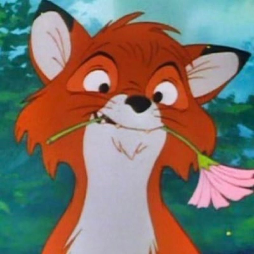 Dumb Foxxo