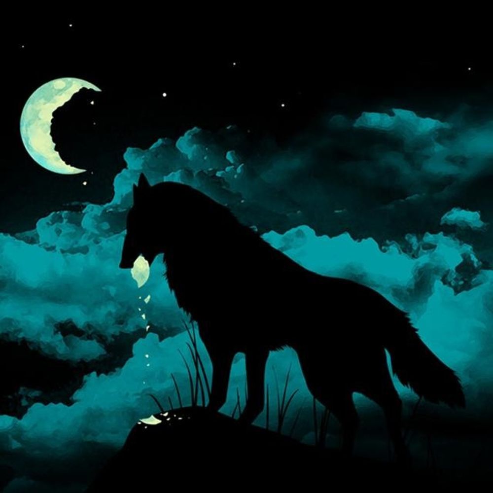 DarkAngel2Wolf