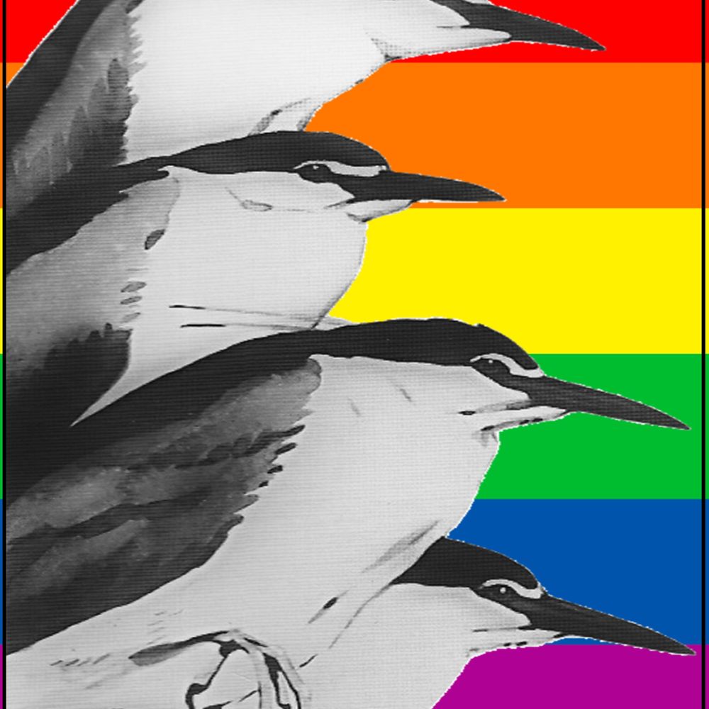 The Waterbird Society