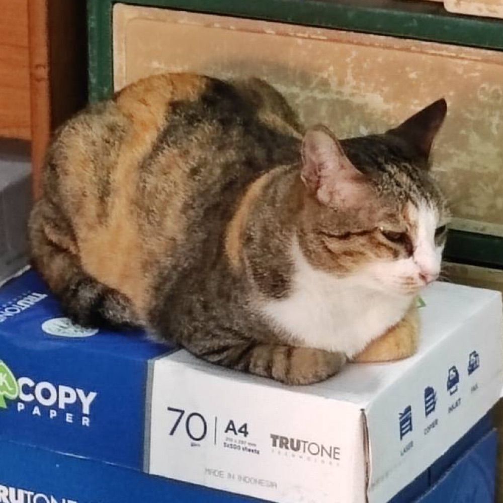 雨雪(ゆな)🌧️🌨️11/10