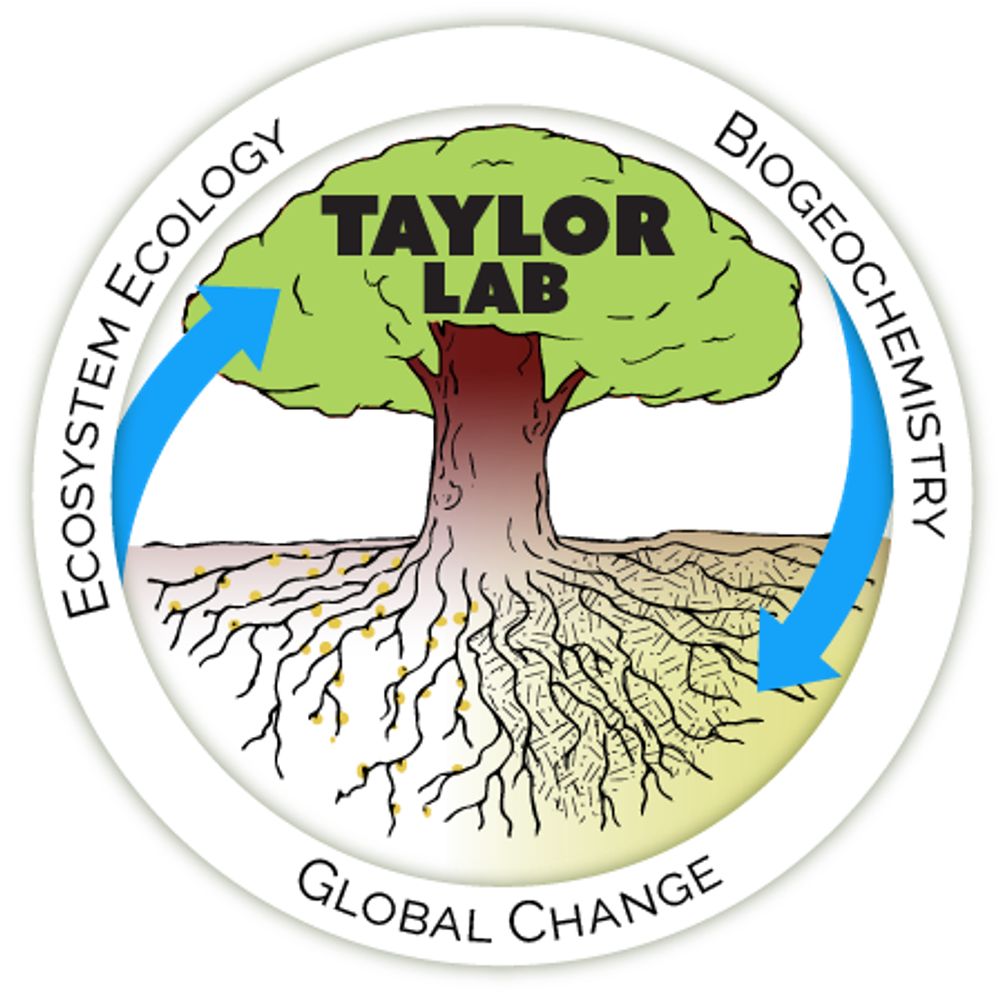 Ben Taylor