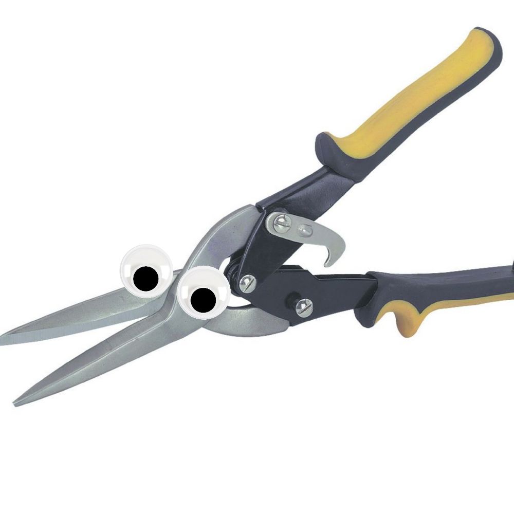 tinsnips with eyes