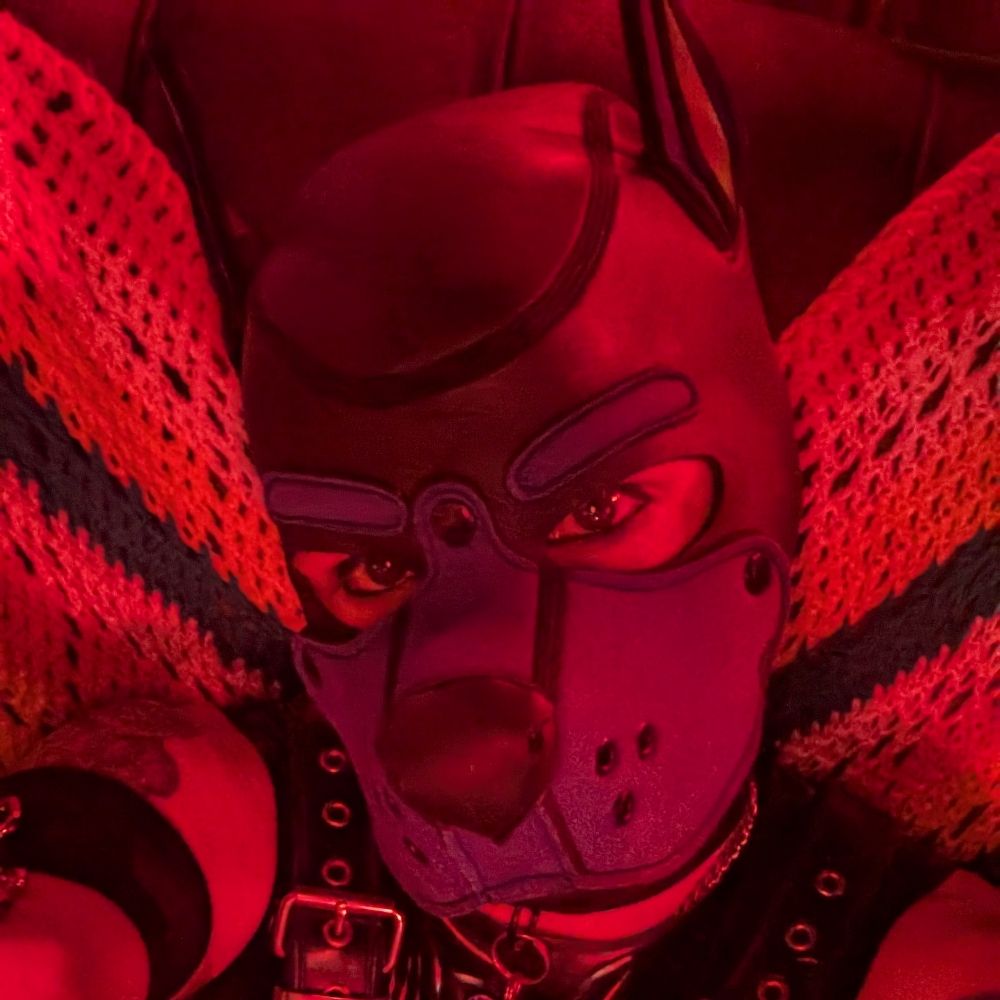 Pup sixx