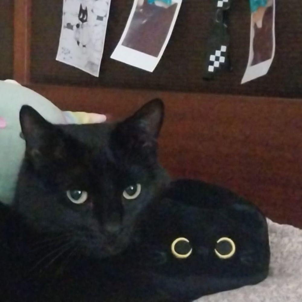 Agustín :3