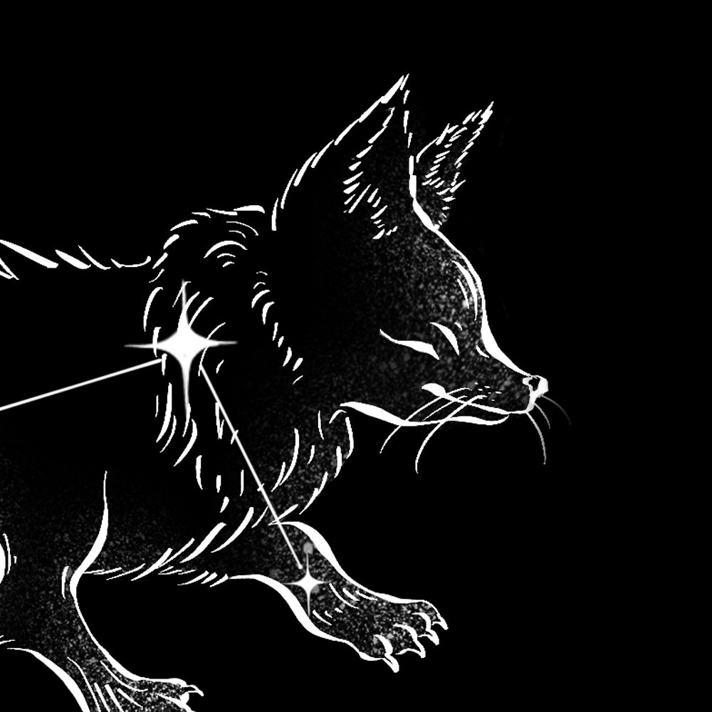 Vulpecula Zines
