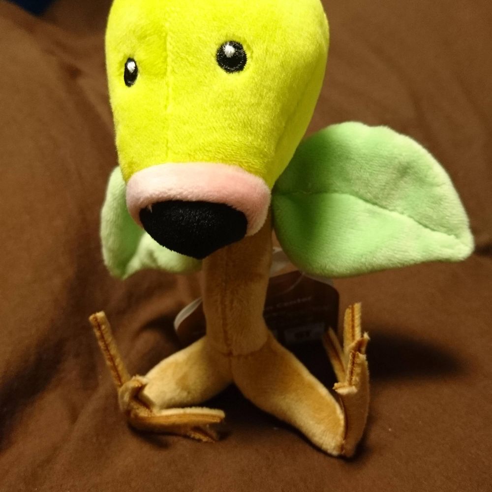 北のメガネ