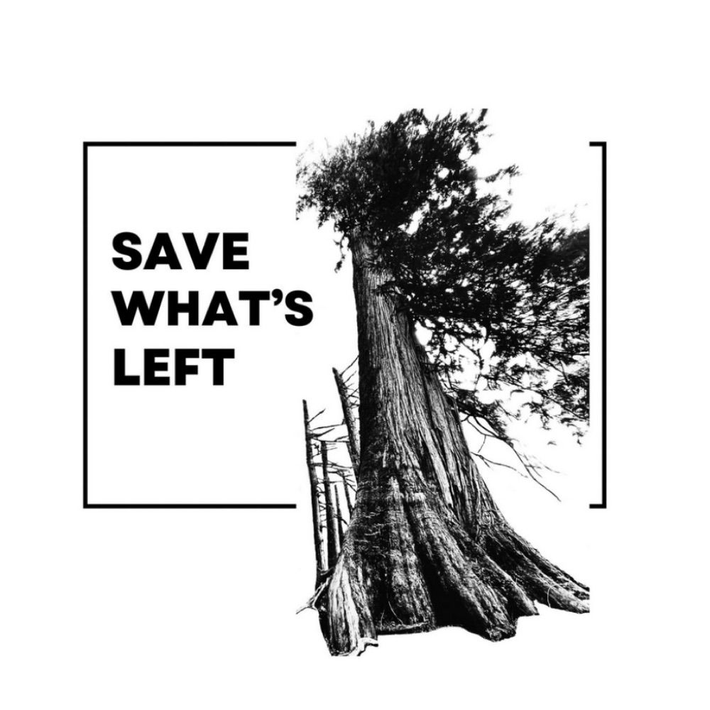 Save What’s Left Consevation Society
