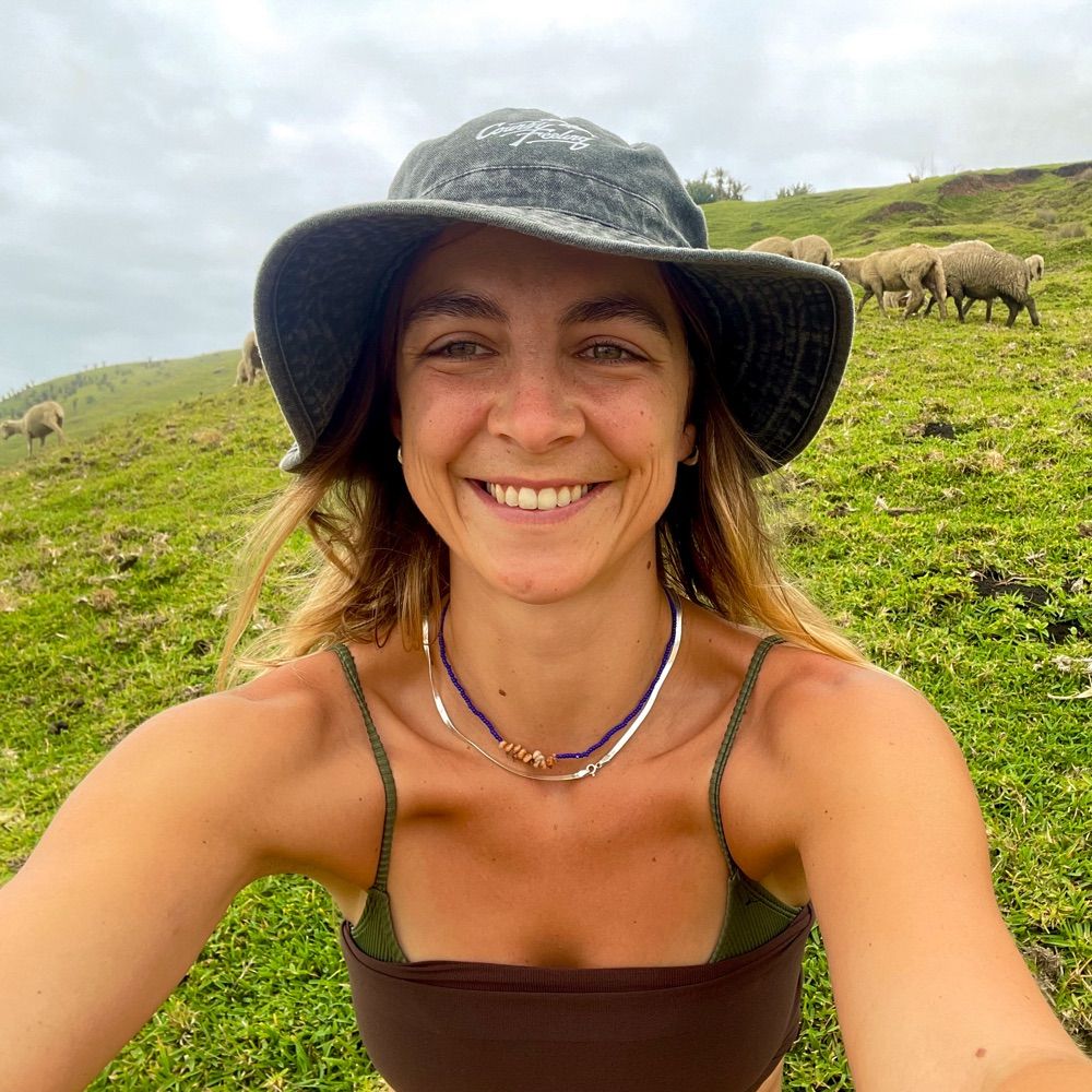 Dr Lisa Skein