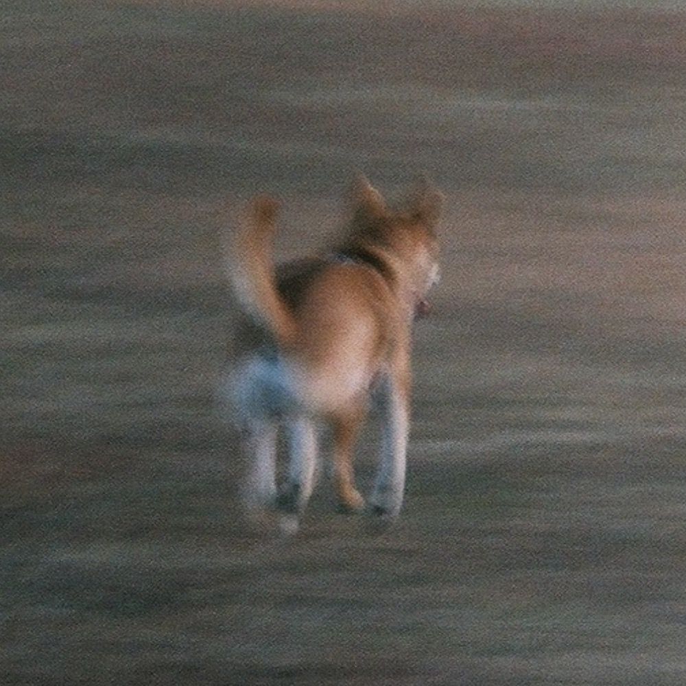 ぺらぺら