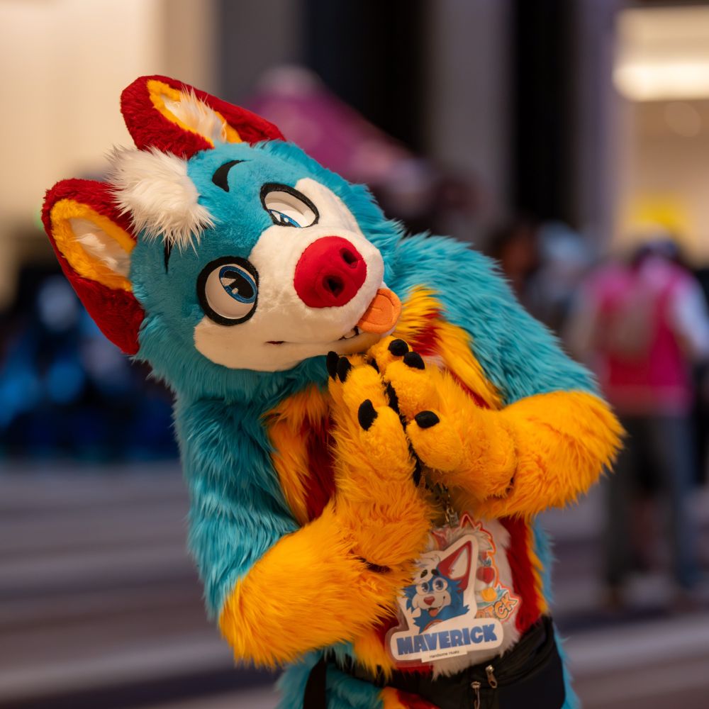 Maverick the Husky 🔜 Megaplex