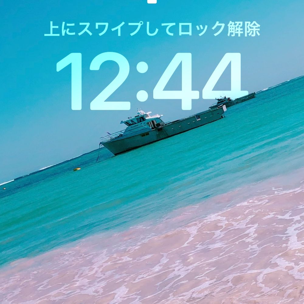 だいがくせい